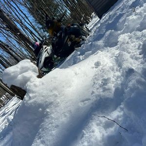 Meet your Posher, Jayden